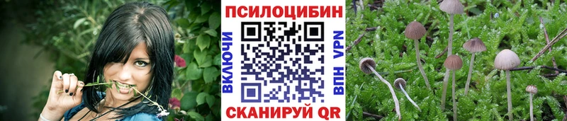 Псилоцибиновые грибы MAGIC MUSHROOMS  дарк нет как зайти  Барнаул 