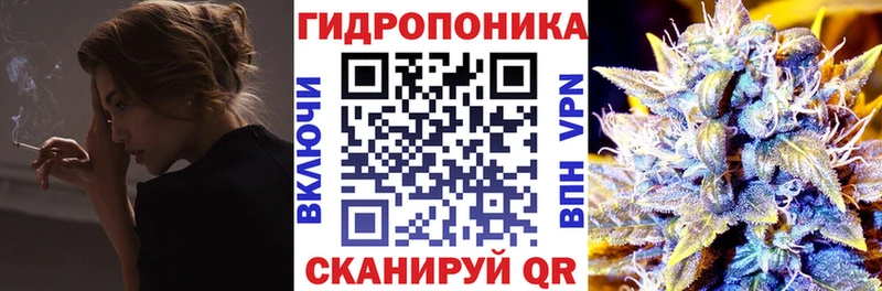 Канабис SATIVA & INDICA  мега   Барнаул  где купить наркоту 